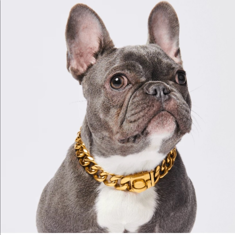 Gold Chain Dog Collar
